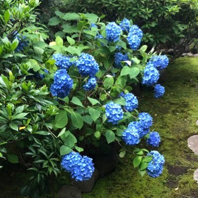 数理物理チャンネル